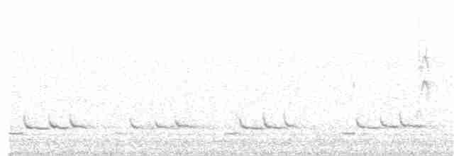 Розовоклювый серёжкоух - ML249361361