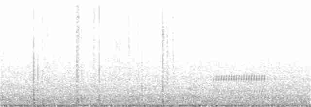 tyranovec vrbový - ML249373721