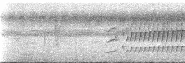 Лопатодзьоб білогорлий [група albogularis] - ML249375
