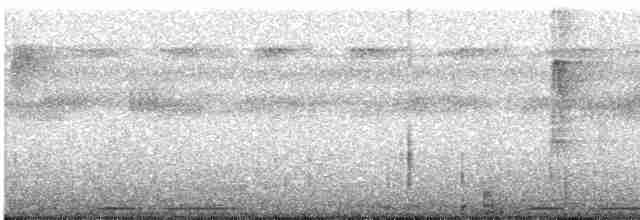 Eurasian Collared-Dove - ML249378401