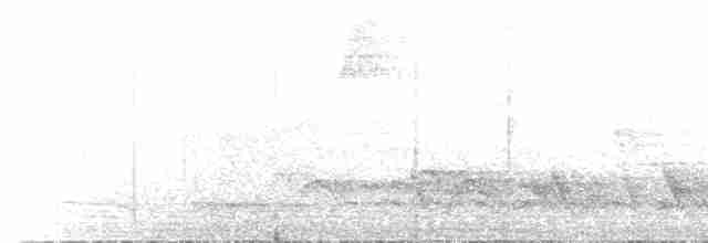 Gray-hooded Flycatcher - ML249382701
