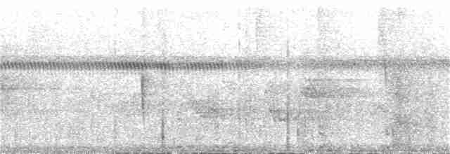 Pileated Woodpecker - ML249383461