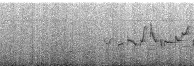 Rufous-vented Grass Babbler - ML24945