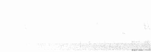 Патагонский курен - ML249468581
