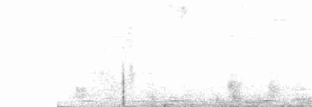 Ruddy Ground Dove - ML249470821