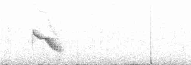 Bicknell Bülbül Ardıcı - ML249474421