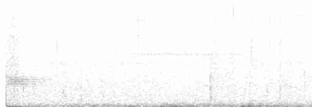 Weißkehldrossel - ML249484191