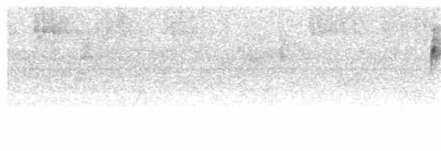 Piranga érythrocéphale - ML249504211