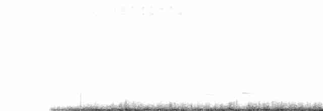 Winternachtschwalbe - ML249532161