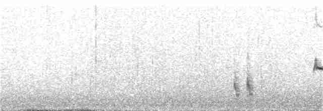 Пересмішник патагонський - ML249557081