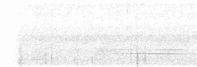 Белокрылая сорока (leucopterus) - ML249568641