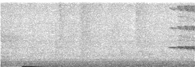 Alción de Esmirna - ML249597911