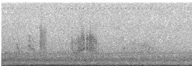 Loggerhead Shrike - ML249640771