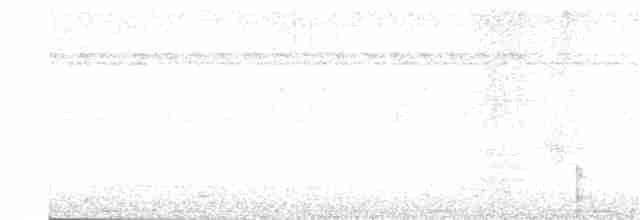 White-throated Daggerbill - ML249678291