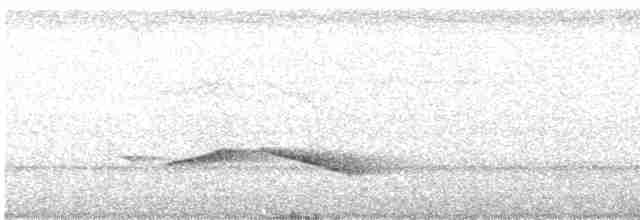 Puff-throated Babbler - ML249701571