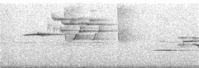 Münzevi Bülbül Ardıcı - ML249718191