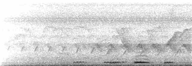 Russet-crowned Motmot - ML249784201