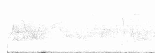 Common Yellowthroat - ML249800931