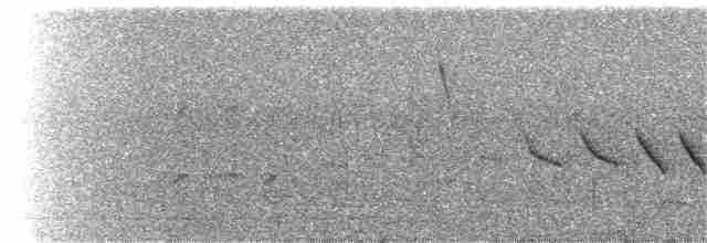 Черногорлая малая овсянка - ML249809281