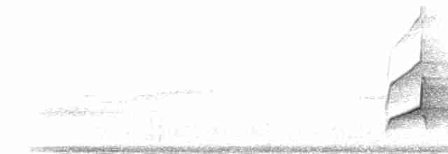 Sarı Karınlı Sinekkapan - ML249816