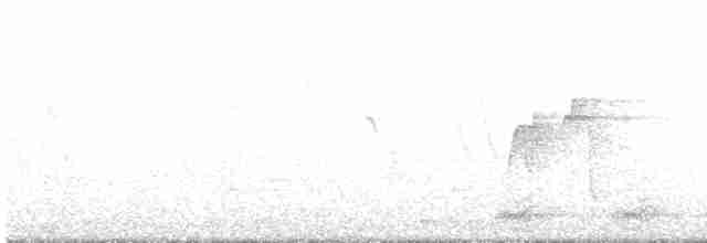 Acadian Flycatcher - ML249830151