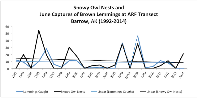 Figure 9. Numbers of Snowy Owl Nests and Brown Lemmings caught during June trap session at ORI's longest running small mammal trap line (1992 to 2014). - Snowy Owl - 