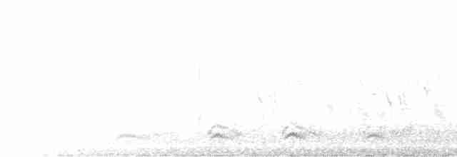 Eastern Meadowlark - ML249848