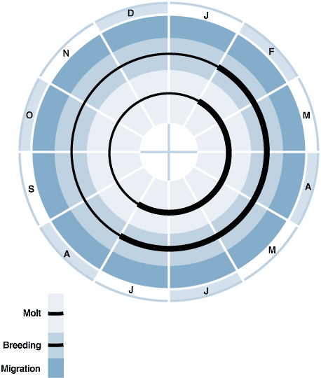 Akiapolaau Fig. 8. Annual cycle of 'Akiapölä'au.