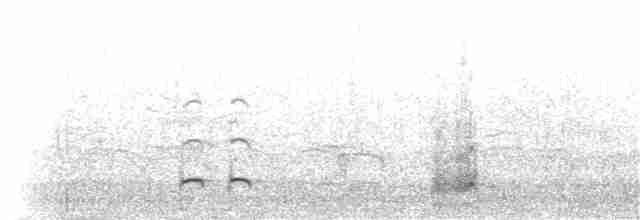 Eurasian Curlew - ML249886921