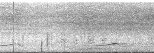 Белокрылая цапля - ML249899171