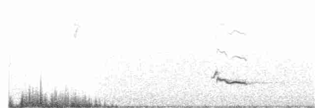 Sinsonte Norteño - ML249906651