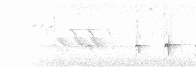 Chaparralgrasmücke - ML249931511