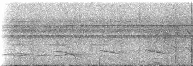svartbrystmaursmett (iheringi) - ML249932