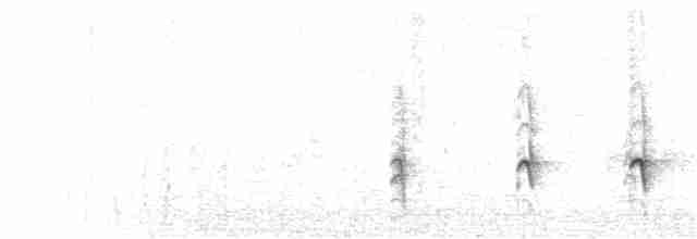 Chaparralgrasmücke - ML249934461
