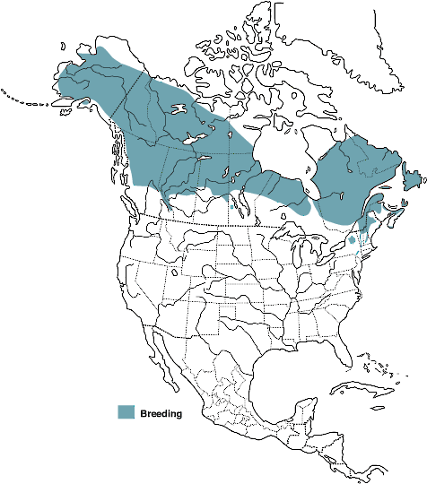 Figure 1. Breeding distribution of the Blackpoll Warbler. - Blackpoll Warbler - 