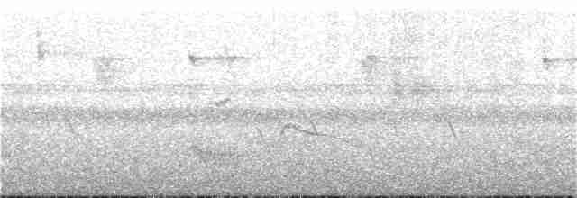 Cinereous Tinamou - ML249949531
