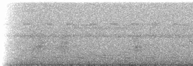 Южноамериканский лапчатоног - ML249958