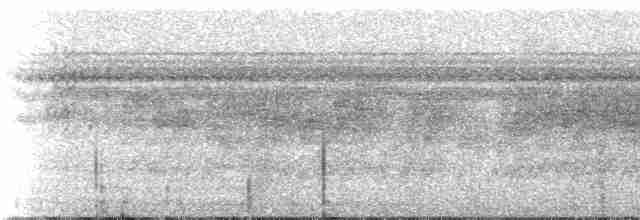 Weißrücken-Ameisenvogel - ML249972