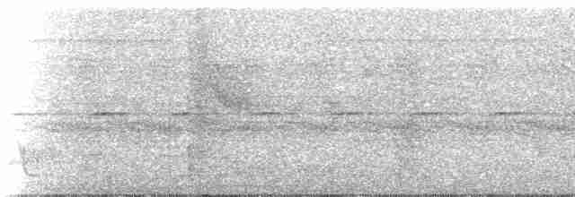 Weißrücken-Ameisenvogel - ML249973