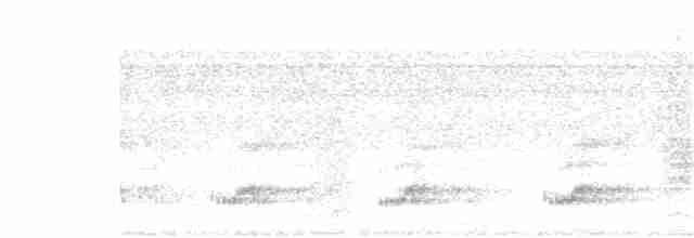 Keel-billed Toucan - ML249973291