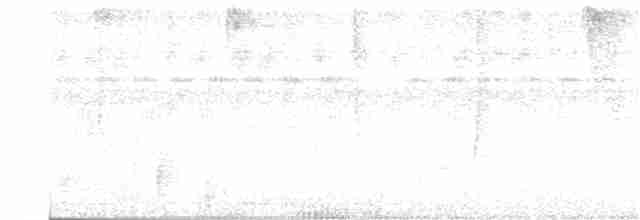 Ошейниковый кинжалоклюв - ML249974991