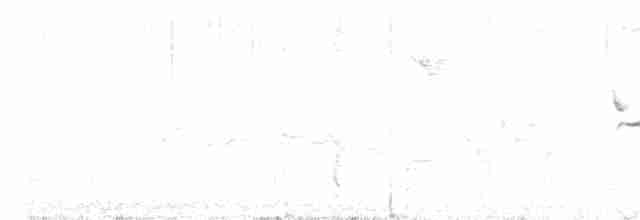 Серогорлая гранателла - ML249989131