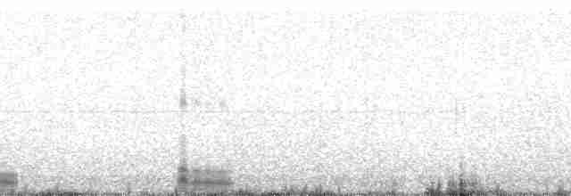 Белая куропатка [группа lagopus] - ML2500