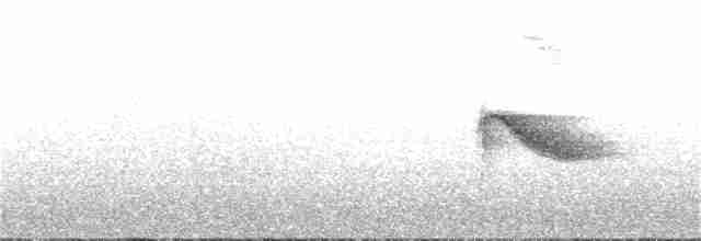 Bicknell Bülbül Ardıcı - ML250014471
