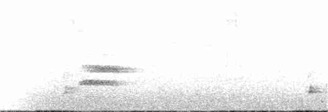Дрізд-короткодзьоб Cвенсона - ML250017841
