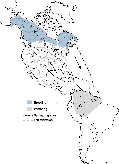 Figure 2. Proposed migration routes of the Blackpoll Warbler. - Blackpoll Warbler - 