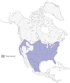 Figure 1. Distribution of the Wild Turkey in North America. - Range Map