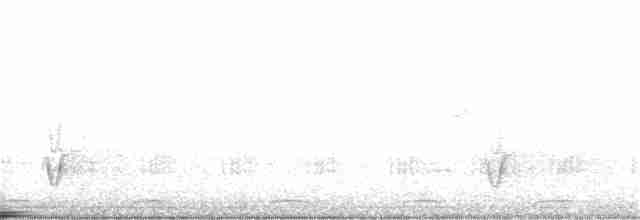 Dünnschnabel-Raupenfänger - ML250066011