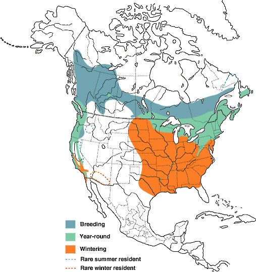 Figure 1. Distribution of the Purple Finch. - Purple Finch - 