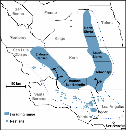 Mapa Del Cóndor De California Estimated California Condor (Gymnogyps